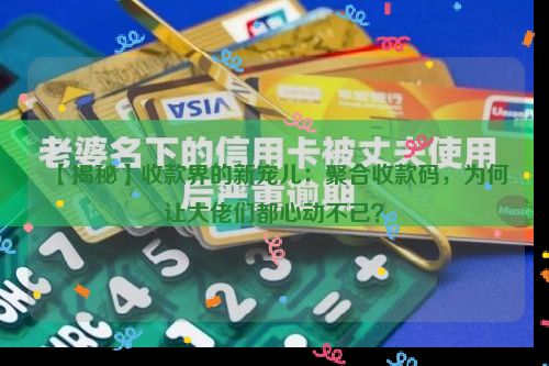 【揭秘】收款界的新宠儿：聚合收款码，为何让大佬们都心动不已？