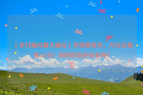 【支付圈内幕大曝光】手续费惊天，万元交易扣331元！你的钱包还安全吗？