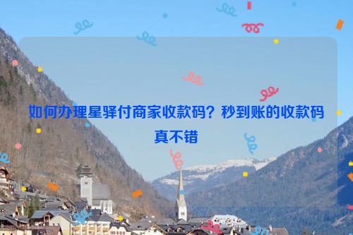 如何办理星驿付商家收款码？秒到账的收款码真不错