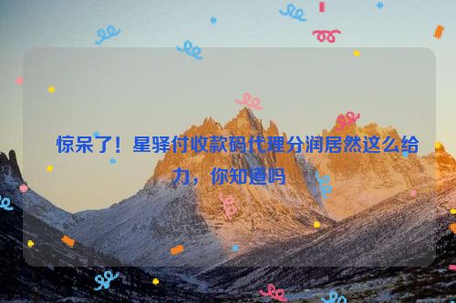 ​惊呆了！星驿付收款码代理分润居然这么给力，你知道吗