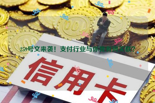 259号文来袭！支付行业与你我有何关联？