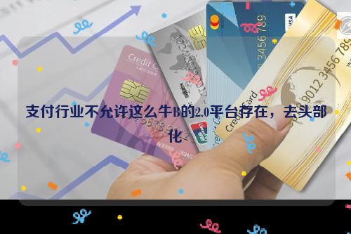 支付行业不允许这么牛B的2.0平台存在，去头部化